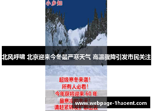 北风呼啸 北京迎来今冬最严寒天气 高温骤降引发市民关注