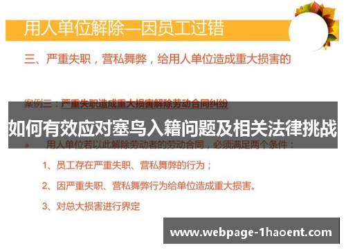 如何有效应对塞鸟入籍问题及相关法律挑战