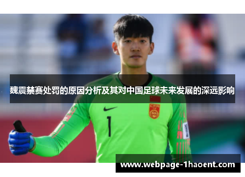 魏震禁赛处罚的原因分析及其对中国足球未来发展的深远影响