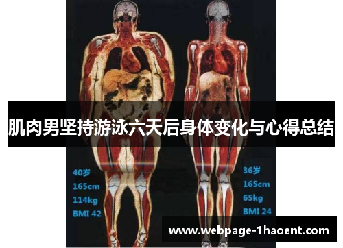 肌肉男坚持游泳六天后身体变化与心得总结 肌肉男坚持游泳六天后身体变化与心得总结