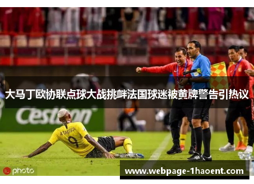 大马丁欧协联点球大战挑衅法国球迷被黄牌警告引热议